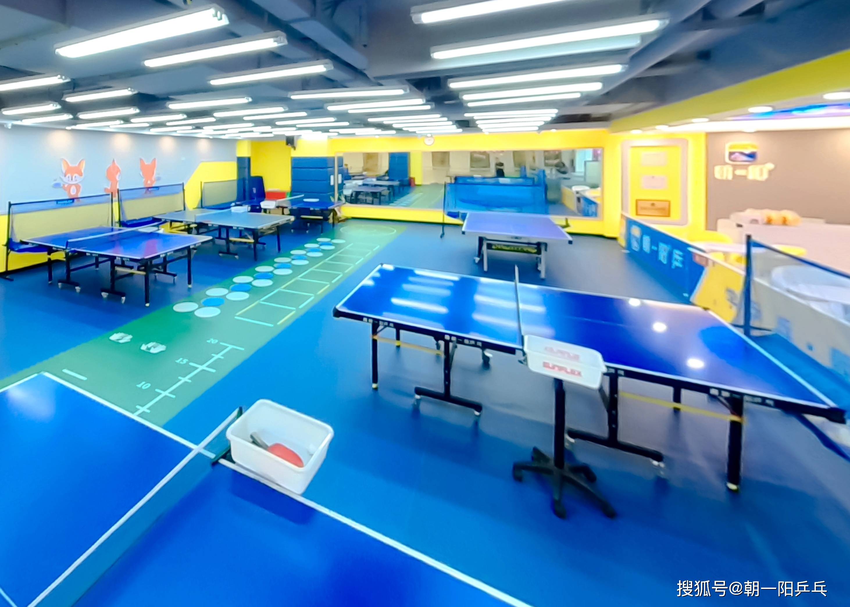 球球体育苹果版
:重庆乒乓球培训基地，浅谈坚持乒乓球体育训练的益处