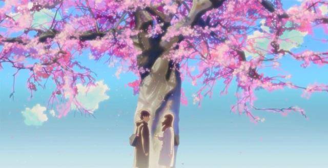 手机壁纸唯美动漫:浪漫的樱花季即将来临，给你们推荐一部超唯美的樱花动漫