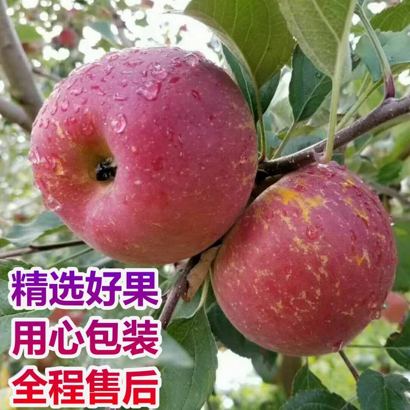 云南鸿运手机版下载苹果苹果手机官网ios下载安装