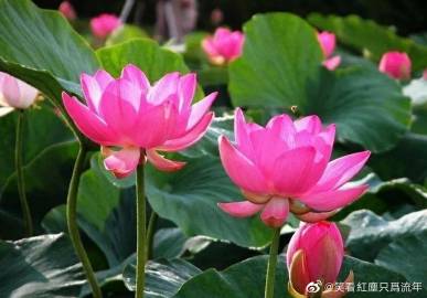 红尘客户端御剑红尘官网下载-第2张图片-太平洋在线下载