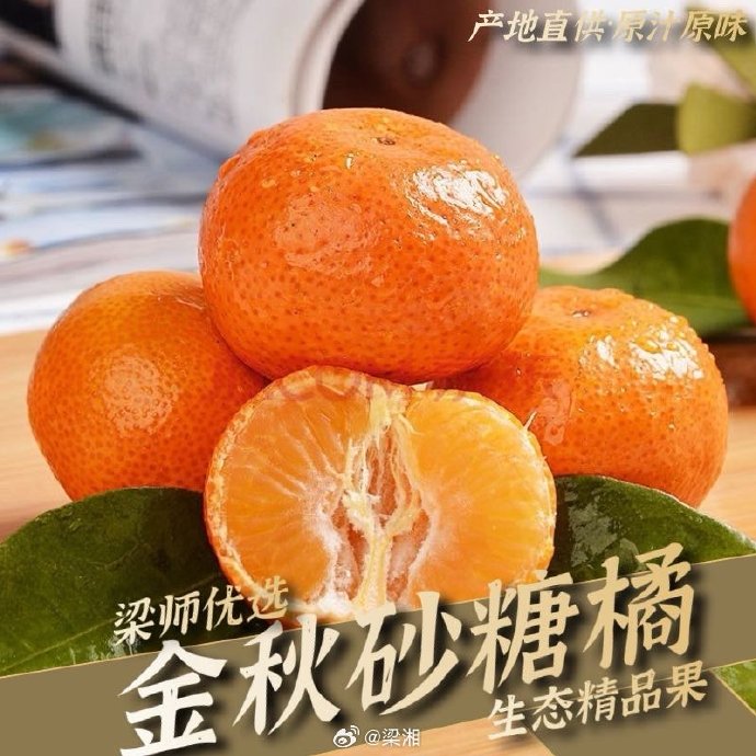 橘子客户端最新烂橘子客户端打不开-第2张图片-太平洋在线下载