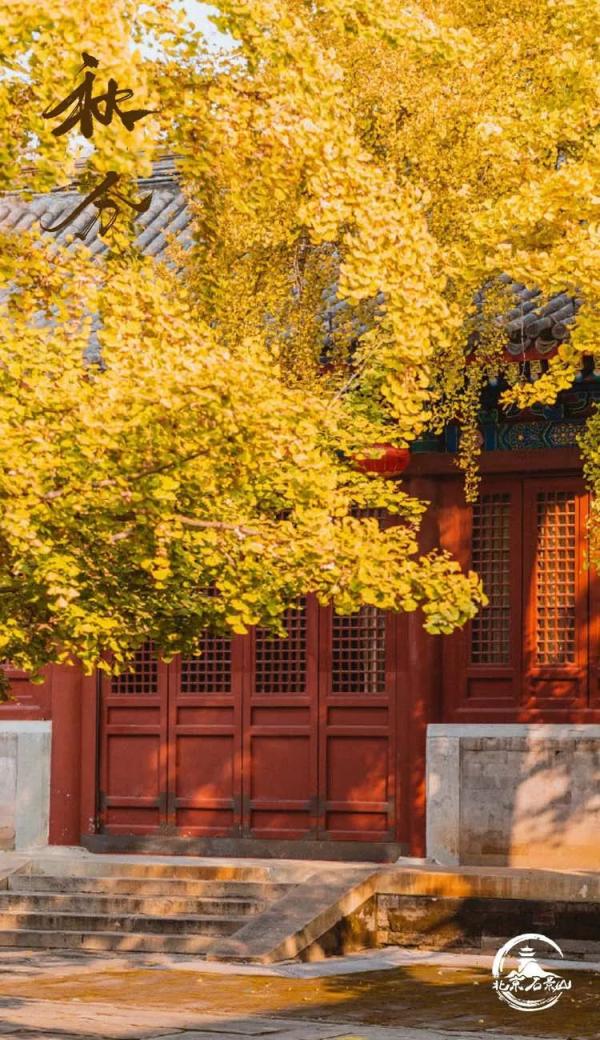 京报网手机版免费网站申请域名