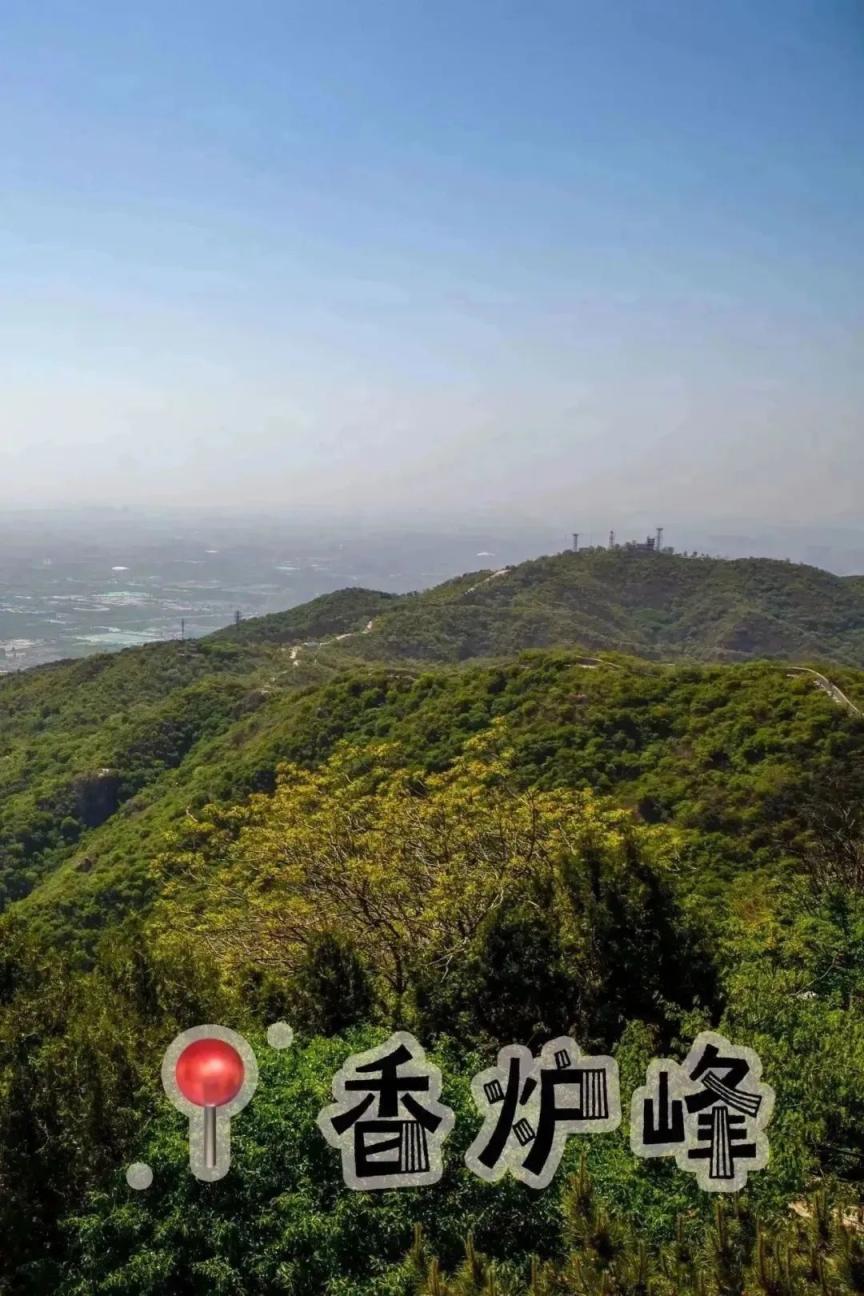 京报网手机版免费网站申请域名-第2张图片-太平洋在线下载