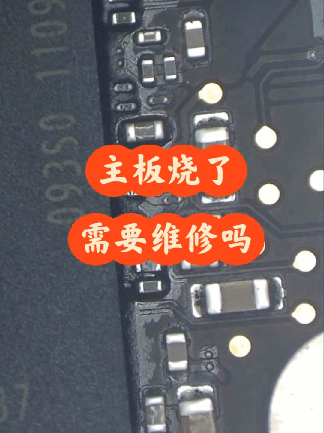 苹果主版烧了烧绳子的游戏叫什么