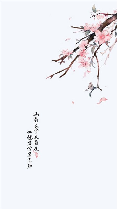 古风版坏苹果坏苹果歌曲歌词